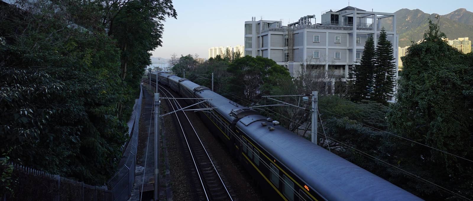 通过港铁东铁线大学站的广九直通车。