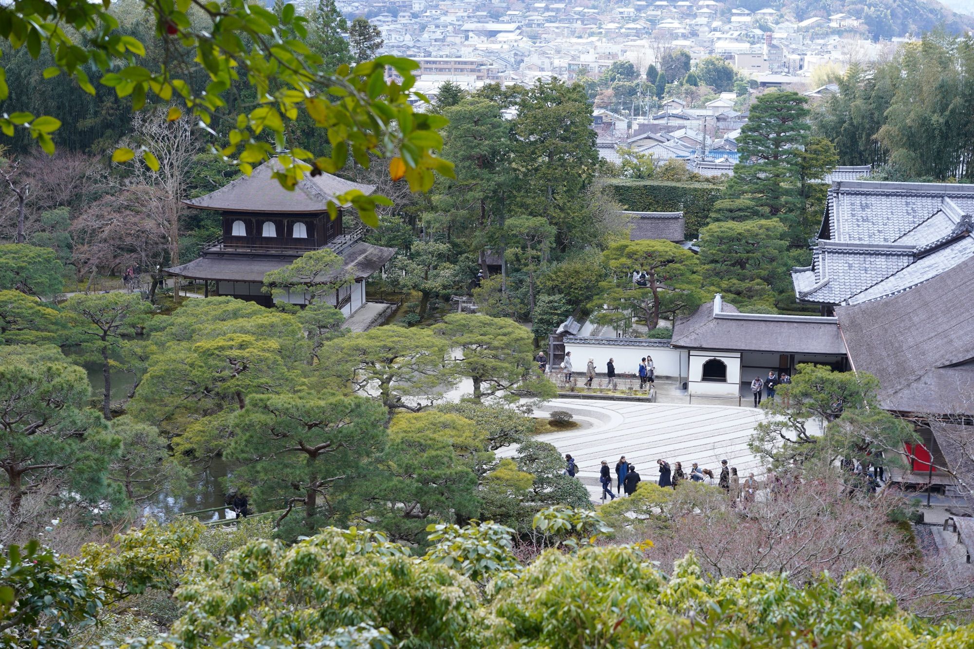 庭园全景