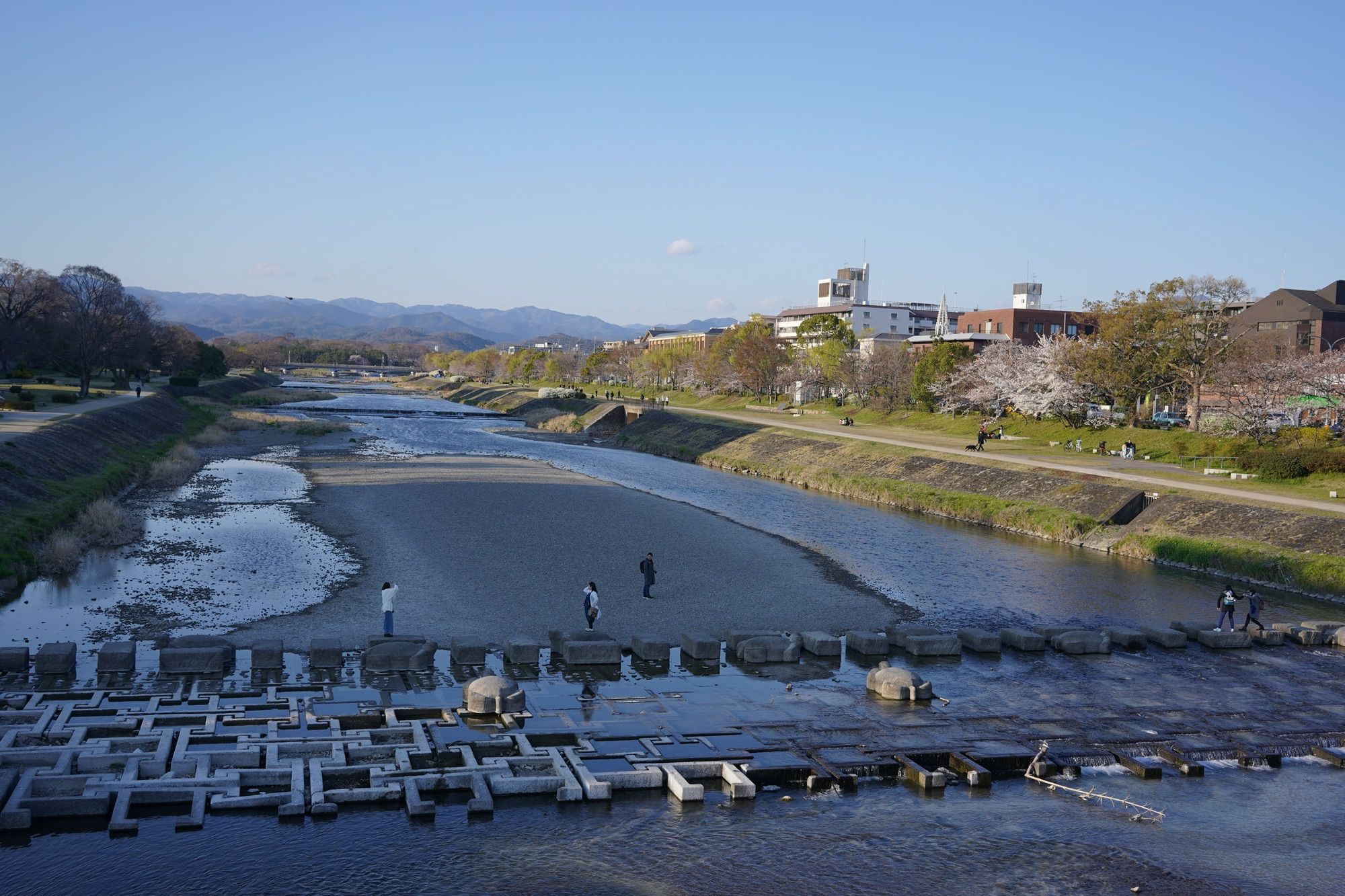 鸭川的跳石和石乌龟