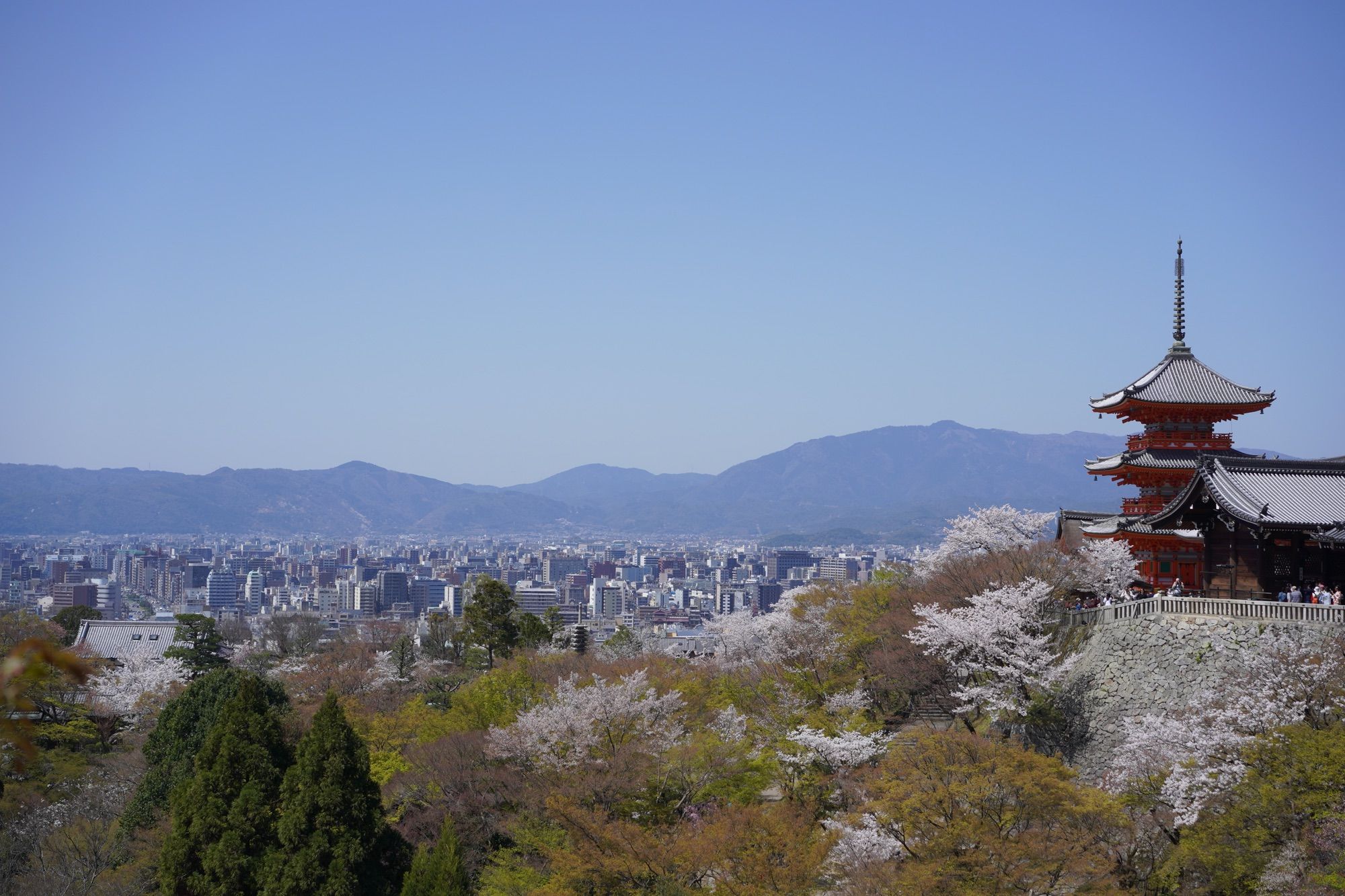 远眺京都市区，右侧是清水寺的三重塔